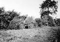 Vehicles of 3rd County of London Yeomanry (Sharpshooters) under camouflage nets, Rushton, Northamptonshire, 1940