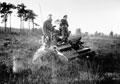 Vickers tank, 3rd County of London Yeomanry (Sharpshooters), training, Surrey, 1940