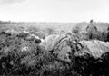 3rd County of London Yeomanry (Sharpshooters), training at Hankley Common, Surrey, 1940