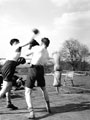 Boxing match, 3rd County of London Yeomanry (Sharpshooters), Surrey, 1940-1941 (c)
