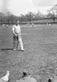 'Peter Pootle', 3rd County of London Yeomanry (Sharpshooters) playing cricket at Chiddingfold Green, Surrey, 1941