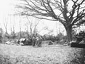 'Regtl Scheme. Sussex', 3rd County of London Yeomanry, 1941 (c)