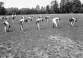 'P.T.', 3rd County of London Yeomanry (Sharpshooters), Westbury, Wiltshire, 1941