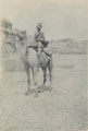 Camel Sowar, The Tyli Reconnaissance, 1916