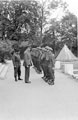 'Inspecting the guard', 3rd County of London Yeomanry (Sharpshooters), Wiltshire, 1941