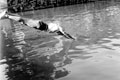 'Diving. A good plunge', 3rd County of London Yeomanry (Sharpshooters), Wiltshire, 1941