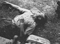 Doug Clancy, 3rd County of London Yeomanry (Sharpshooters), Parham, Westbury, Wiltshire, 1941