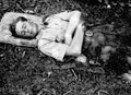 Doug Clancy, 3rd County of London Yeomanry (Sharpshooters), Parham, Westbury, Wiltshire, 1941