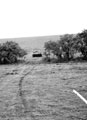 Cruiser tanks of 3rd County of London Yeomanry (Sharpshooters)training on Salisbury Plain, Wiltshire, 1941