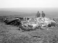 Crashed German bomber, Wiltshire, 1941