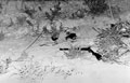 EOKA fighter killed in a clash with British troops, July 1958