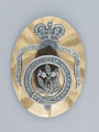 Shoulder belt plate, officer, 4th (Dumfriesshire) North British Militia, 1798-1801