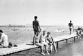 Swimming at Lake Timsah during National Service, 1953 (c)
