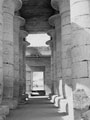 'Lotus columns of the Ramesseum', Egypt, 1943