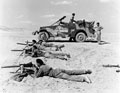 Fitters from County of London Yeomanry (Sharpshooters) training with machine guns in the desert, North Africa, 1942 (c)
