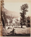 Indian Mountain Artillery battery, 1878 (c)