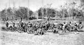 British and Indian gunners, 1879 (c)