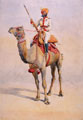 Bikanir Camel Corps, 1908