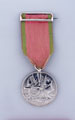 Turkish Crimea Medal 1855, Sardinian Issue, Major Nathaniel Steevens, 88th Regiment of Foot (Connaught Rangers)