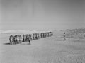 Squadron parade, 3rd County of London Yeomanry (Sharpshooters), Cowley Camp, Mena, Egypt, 1943
