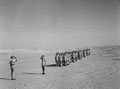 Squadron parade, 3rd County of London Yeomanry (Sharpshooters), Cowley Camp, Mena, Egypt, 1943