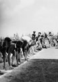 'Start of the 440', 3rd County of London Yeomanry (Sharpshooters) sports day, Egypt, 1943