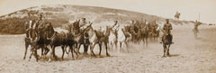 1st Reserve Regiment of Cavalry in training, Aldershot, 1914 (c)