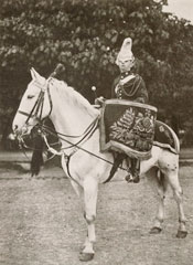 Drum horse of the 1st (King's) Dragoon Guards, 1912 (c)