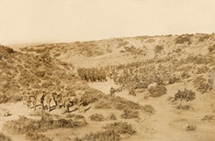 5th Battalion The Connaught Rangers moving up to the front, Gallipoli, August 1915
