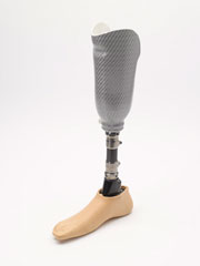 Right transtibial leg prosthesis with Endolite Echelon foot, 2013 (c)