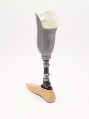Right transtibial leg prosthesis with Endolite Echelon foot, 2013 (c)