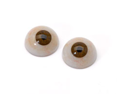 Prosthetic eyes, 2013