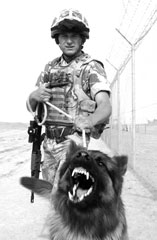 Private Harry McKnight and protection dog, 'Reece', at Camp Bastion, Helmand Province, 2008