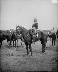 Trooper, 2nd Life Guards, glass negative 1895 (c)