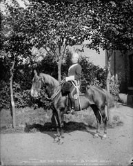 Troop Sergeant Major, 1st (or King's) Dragoon Guards, glass negative, 1895 (c)