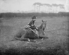 Scout, 8th King's Royal Irish Hussars, glass negative, 1895 (c) 