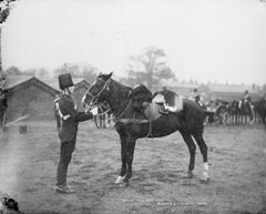 Gunner, Royal Horse Artillery, glass negative, 1895 (c)