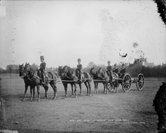 Gun and team, K Battery, Royal Horse Artillery, glass negative, 1895 (c)