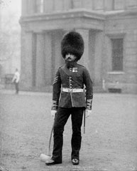 Pioneer Sergeant, 1st Battalion, Scots Guards, glass negative, 1895 (c)