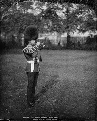 Bugler, 1st Battalion Scots Guards, glass negative, 1895 (c)