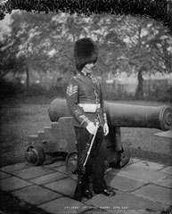 Colour Sergeant, 1st Battalion Scots Guards, full dress, glass negative, 1895 (c)