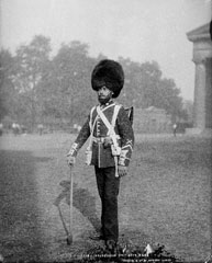 Pioneer, Coldstream Guards, glass negative, 1895 (c)