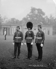 Sergeants, Coldstream Guards, glass negative, 1895 (c)
