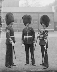 Drum Major and Drill Sergeants, 2nd Battalion, Coldstream Guards, Glass Negative, 1895 (c)