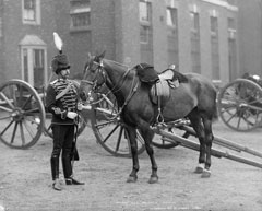 Officer, Field Battery, Honourable Artillery Company, glass negative, 1895 (c)