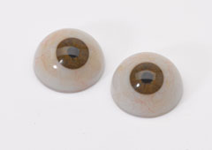 Prosthetic eyes, 2013