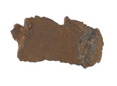 Shell fragment, 1916