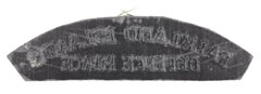 Falkland Islands Defence Force shoulder title.