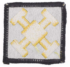 West Midlands Regiment tactical recognition flash, 1999-2007