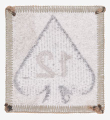 Tactical recognition flash, 12th Mechanised Brigade